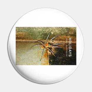 happiness spider Pin