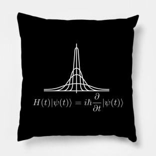 Schroedinger's Equation 2 Pillow