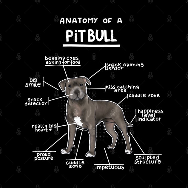 Anatomy of a PitBull by Alies