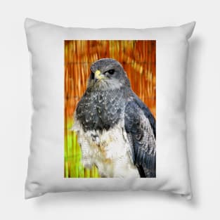 Chilean Eagle Black Chested Buzzard Pillow