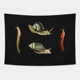 Slugs & Snails Vintage Illustration Tapestry