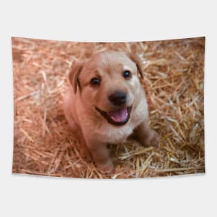 Labrador Puppies / Swiss Artwork Photography Tapestry