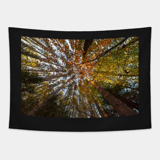 Adirondack Loge Keene Valley NY New York Tapestry by WayneOxfordPh