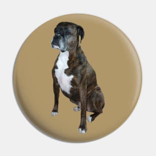 A Handsome Brindle Boxer - Just the Dog Pin