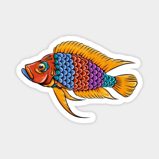 calvus cichlid fish colorful Magnet