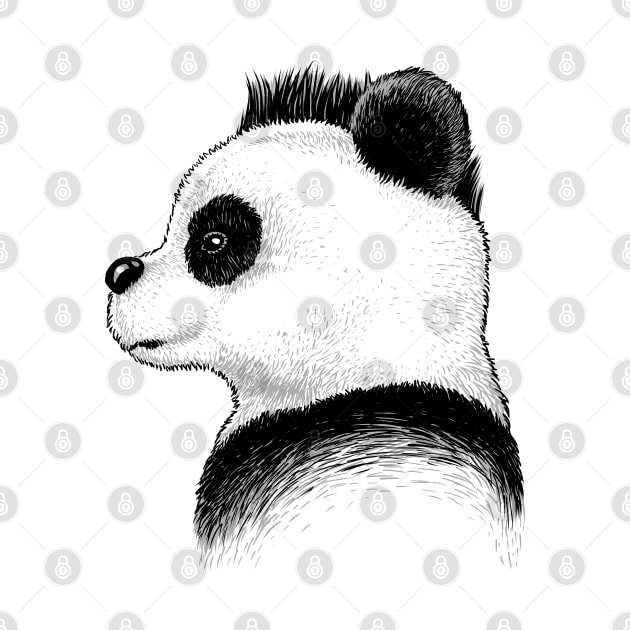 Punk Panda Profile by albertocubatas