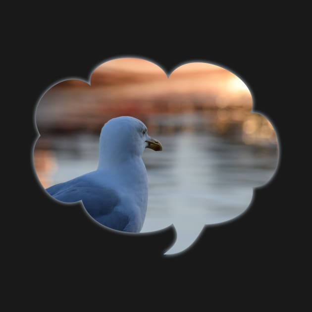 Sunset sunny harbour Seagull in deep thought by ownedandloved