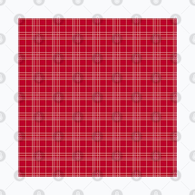 Dark Red White Checkered Plaid Fall Aesthetic by squeakyricardo