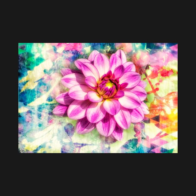 Pink dahlia with paint effect background by RosNapier