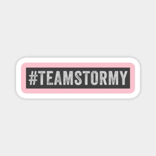 Team Stormy // Logo Box Grayscale Style Magnet