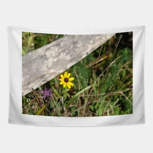 Pastel effect small bright yellow flower in field under rustic wooden fence rail.  imagine this on a  card or as wall art fine art canvas or framed print on your wall Tapestry