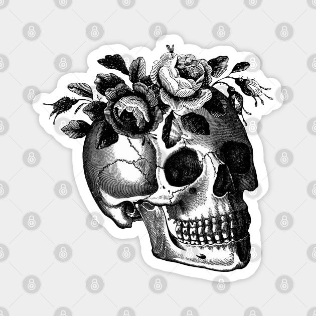 Memento Skull Magnet by LadyMorgan