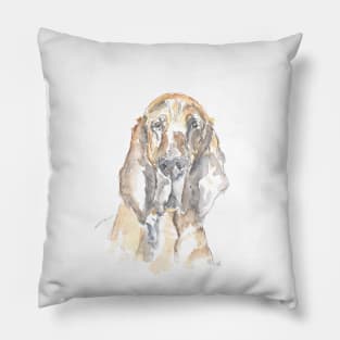 Bloodhound Pillow