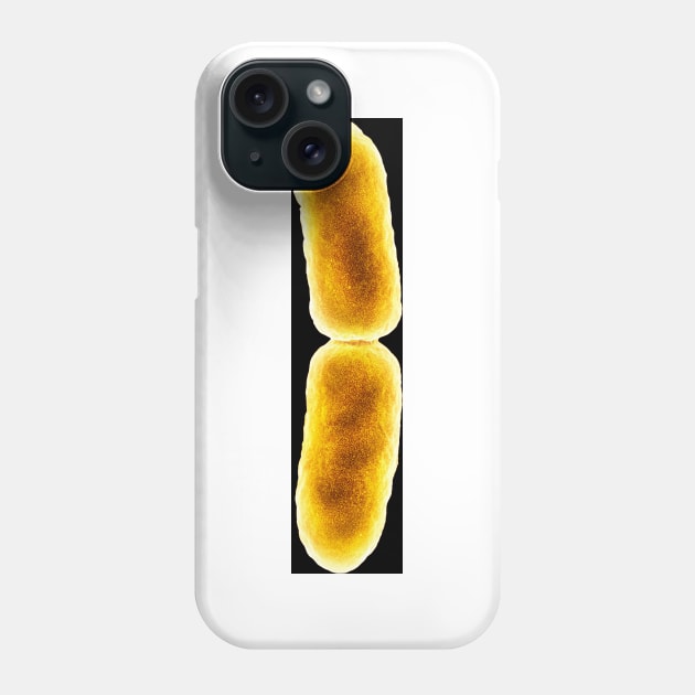 E. coli bacterium dividing, SEM (C048/1466) Phone Case by SciencePhoto