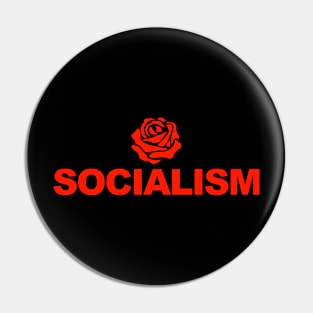 Socialism Pin