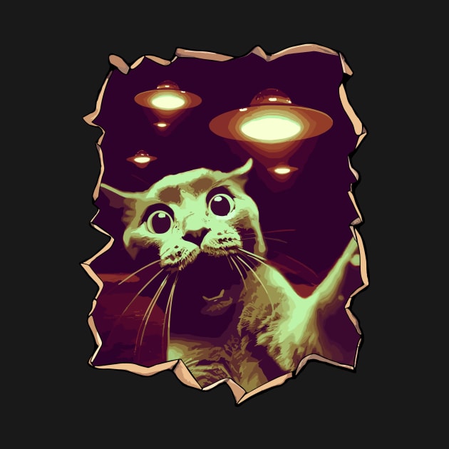 Funny Cat Selfie With UFOs Behind by KromADesign