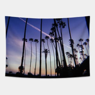 Palm Tree Sunset. Los Angeles CA Tapestry