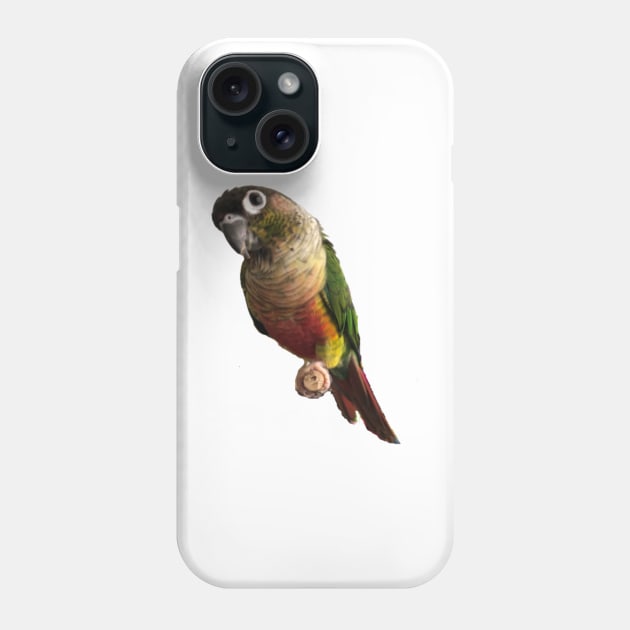 Green Cheek Conure Parrot Bird design, Love for birds Phone Case by TatianaLG