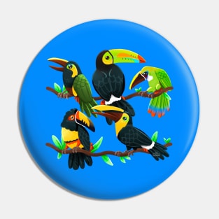 Toucans Pin