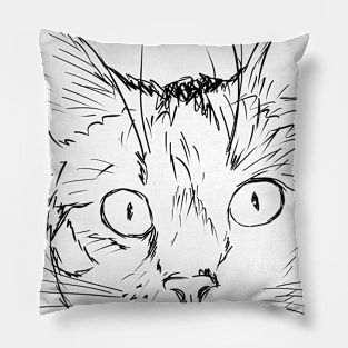 Cat Lover Pillow