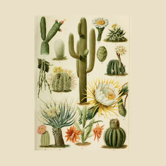 Botanical Cacti by bluespecsstudio