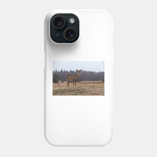 In a storm field Phone Case by josefpittner