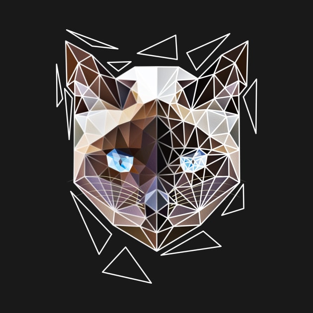 Siamese cat geometry by Jackson Lester