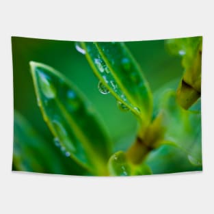 Just Green Leaves Tapestry