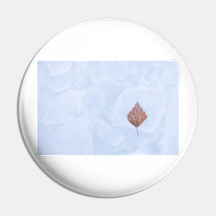 One birch tree leaf frozen on ice Pin