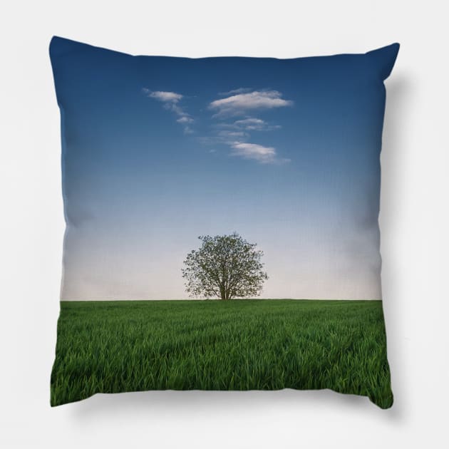 a tree in the wheat field Pillow by psychoshadow