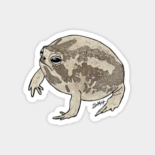 Desert Rain Frog Magnet