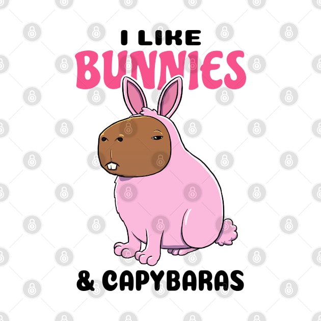 I Like Bunnies and Capybaras by capydays