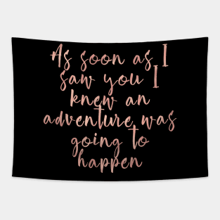 As soon as I saw you I knew an adventure was going to happen Tapestry