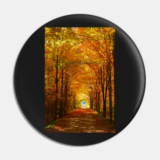 Autumn Light and Leaf Painting Pin