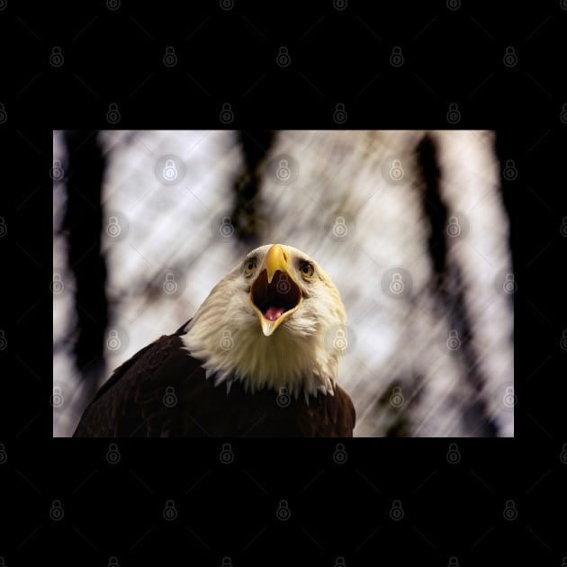 American Patriotic Eagle by hottehue