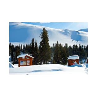 Canadian Rocky Mountains Icefields Parkway Canada T-Shirt