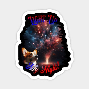 Firework Show (Light up my Night) Magnet