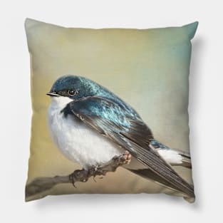 Tree Swallow on Branch 02 Pillow