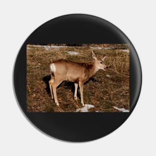 Doe Pin