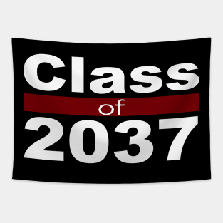 Class of 2037 Tapestry