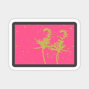 Coral Bean Pink Yellow Abstract Magnet