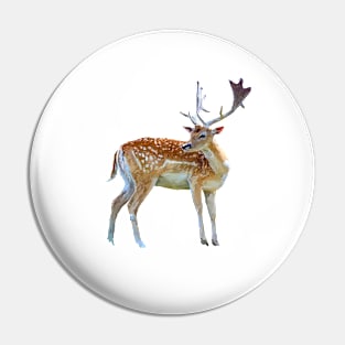 Rehe Pin