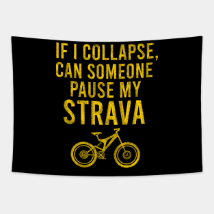 If I collapse, can someone pause my strava Tapestry