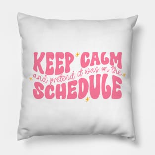 Keep Calm and Pretend It's on the Schedule shirt, Vetmed shirt, Work Life Pillow