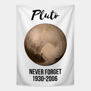 Pluto never forget geek nerd gift idea Tapestry