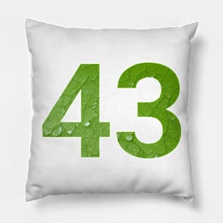 43 celebration day with nature Pillow