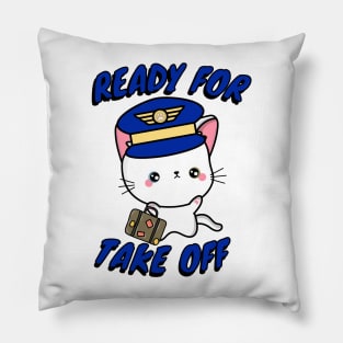 Funny Angora cat is a pilot Pillow