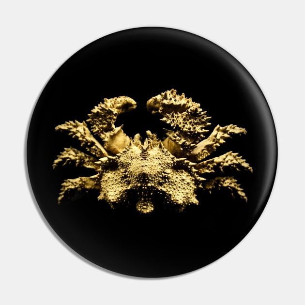 Crab Pin by Wolf Art / Swiss Artwork Photography