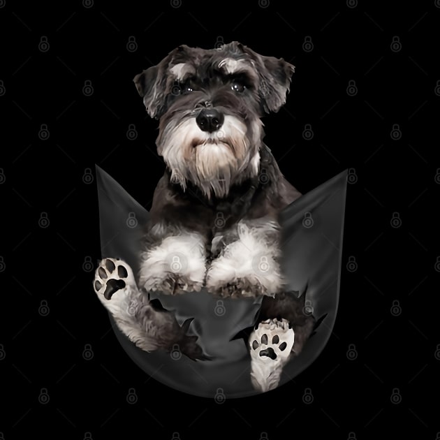 Schnauzer dog with love by designathome