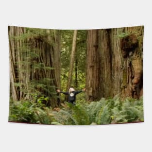 Redwoods California Nature Photography Pacific Northwest Tapestry